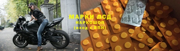 ГАЛЛЮЦИНОГЕННЫЕ ГРИБЫ Аркадак