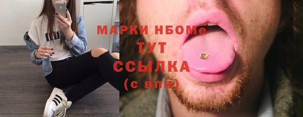 ГАЛЛЮЦИНОГЕННЫЕ ГРИБЫ Аркадак