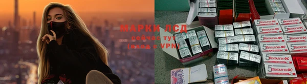 мяу мяу мука Армянск