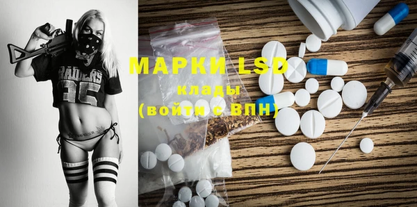 ГАЛЛЮЦИНОГЕННЫЕ ГРИБЫ Аркадак