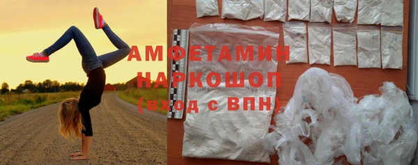 ГАЛЛЮЦИНОГЕННЫЕ ГРИБЫ Аркадак