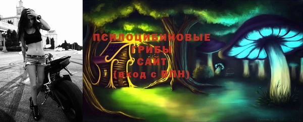 ГАЛЛЮЦИНОГЕННЫЕ ГРИБЫ Аркадак